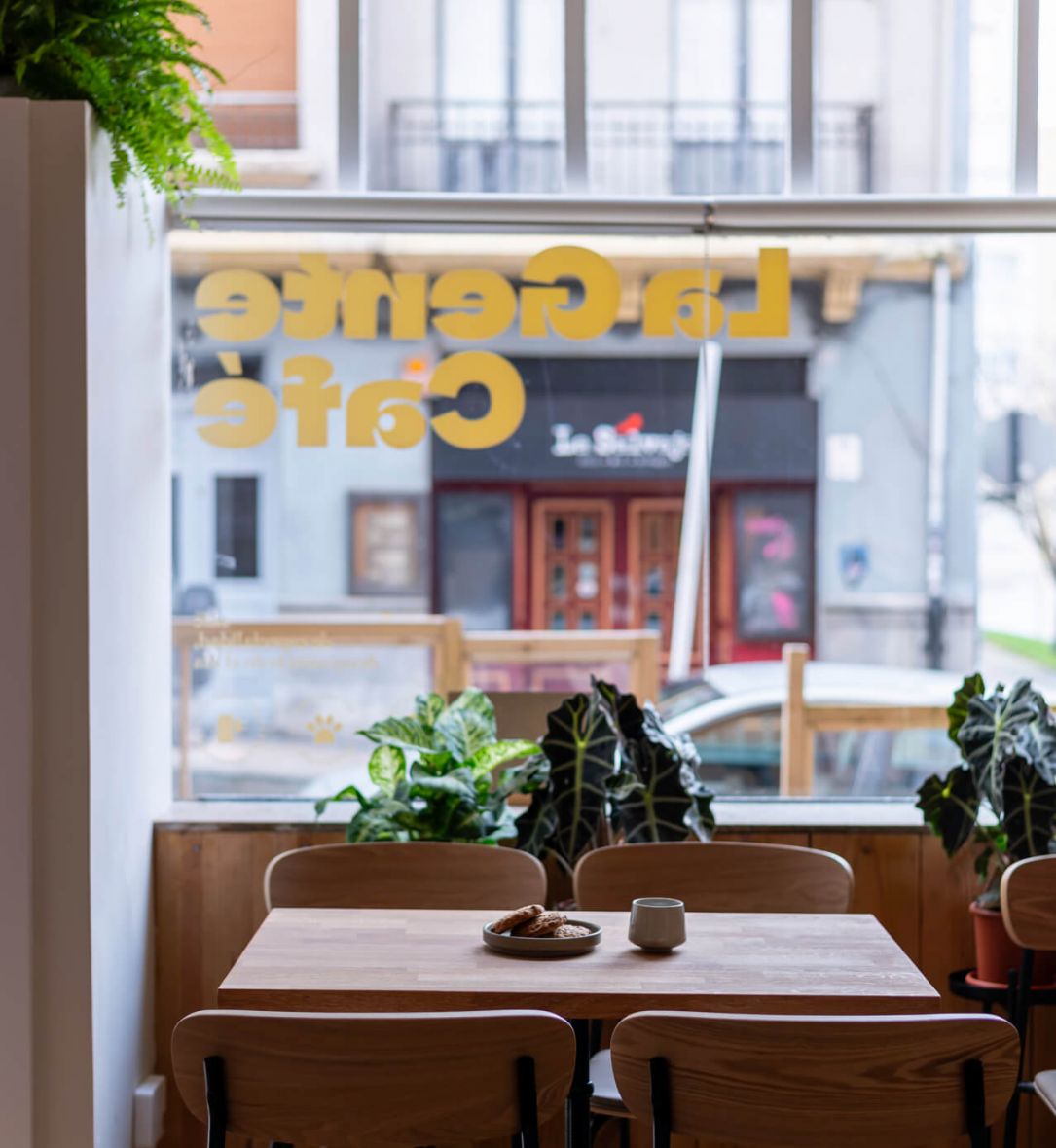 A cozy cafe table with chairs and plants, set by a window at La Gente Cafe, designed by TenZeroTwo Bureau